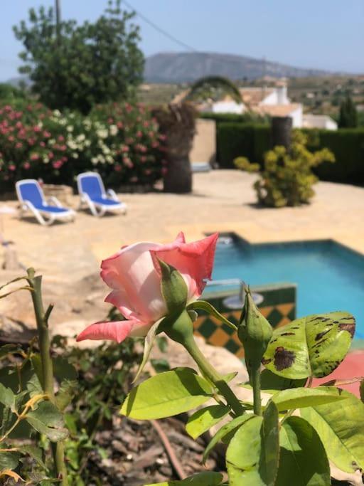 טאולאדה Rustico Appartment 'Olta' In Finca, See-And Garden Side מראה חיצוני תמונה
