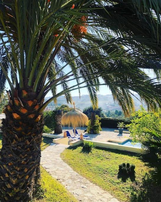 טאולאדה Rustico Appartment 'Olta' In Finca, See-And Garden Side מראה חיצוני תמונה